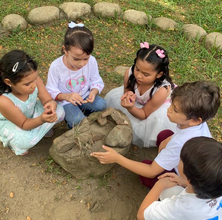 la educacion del hjardin de infancia waldorf