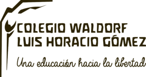 logo-n